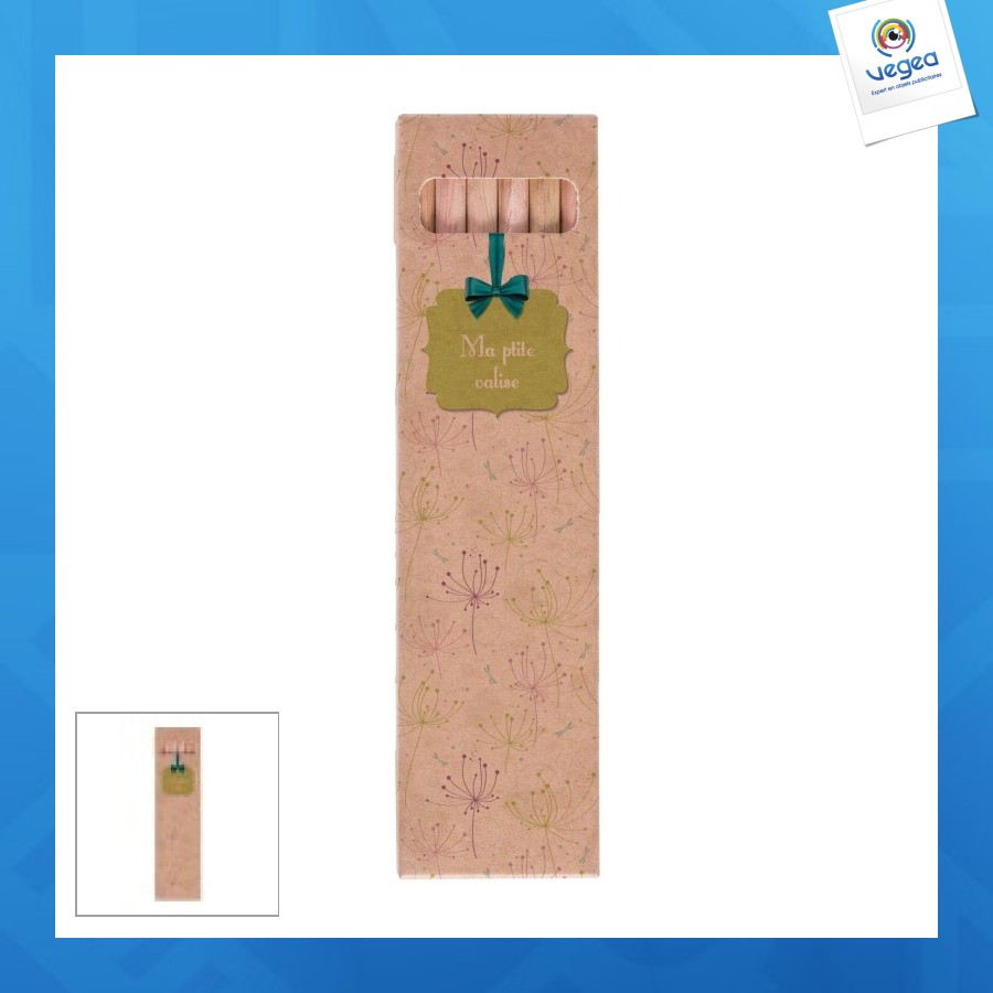 Etui 6 cr coul eco 17,6