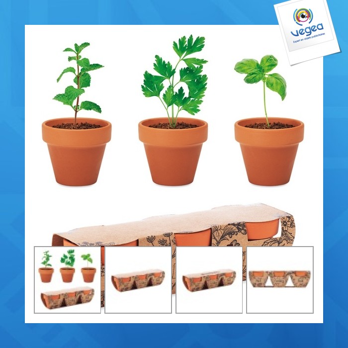 Flowerpot - 3 earthen pots