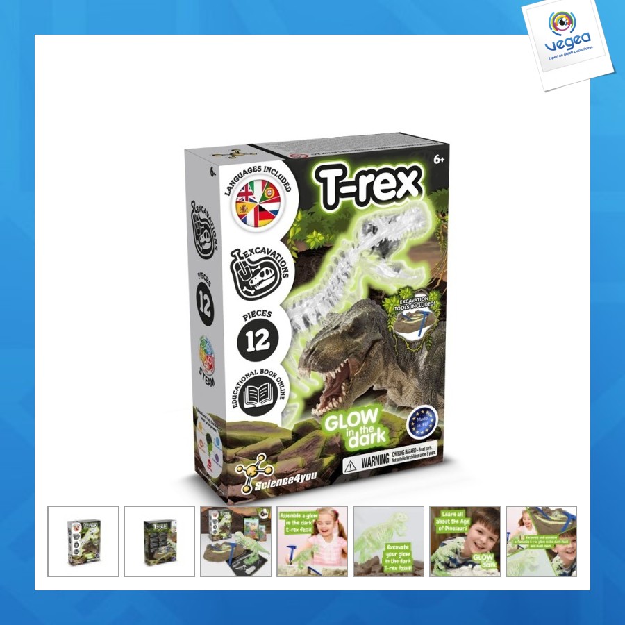 Fossil excavation kit i. educational game for children