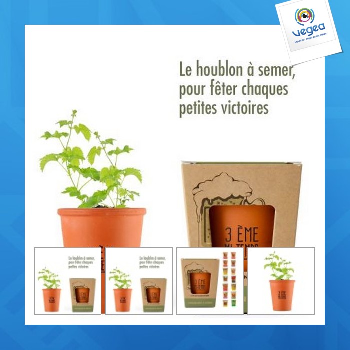 Kit "3rd half-time" hop seeds to sow