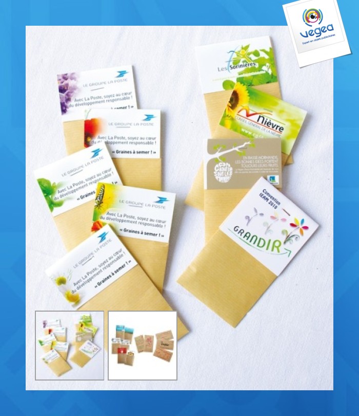 Kraft seed bag