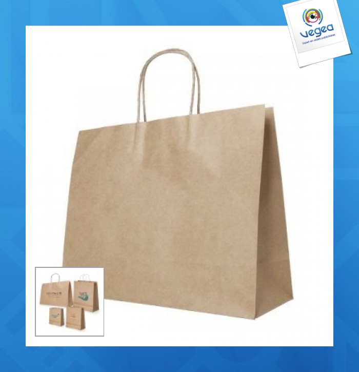 Brown Paper Carry Bag 480mmx340mm - large A3 size | QIS Packaging