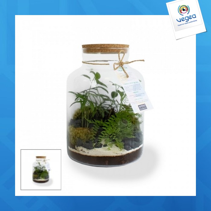 Large tropical terrarium 
