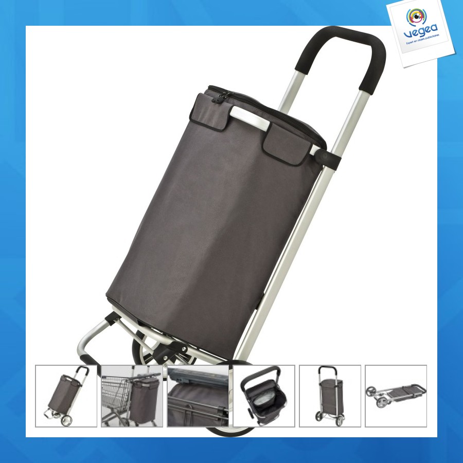 Luxury trolley bag