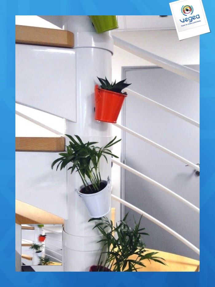 Magnetic zinc pot with depolluting plant