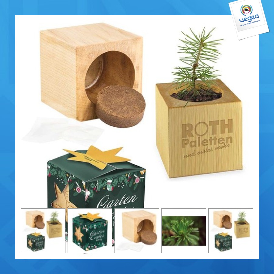 Maxi christmas wooden cube pot in star-box - spruce