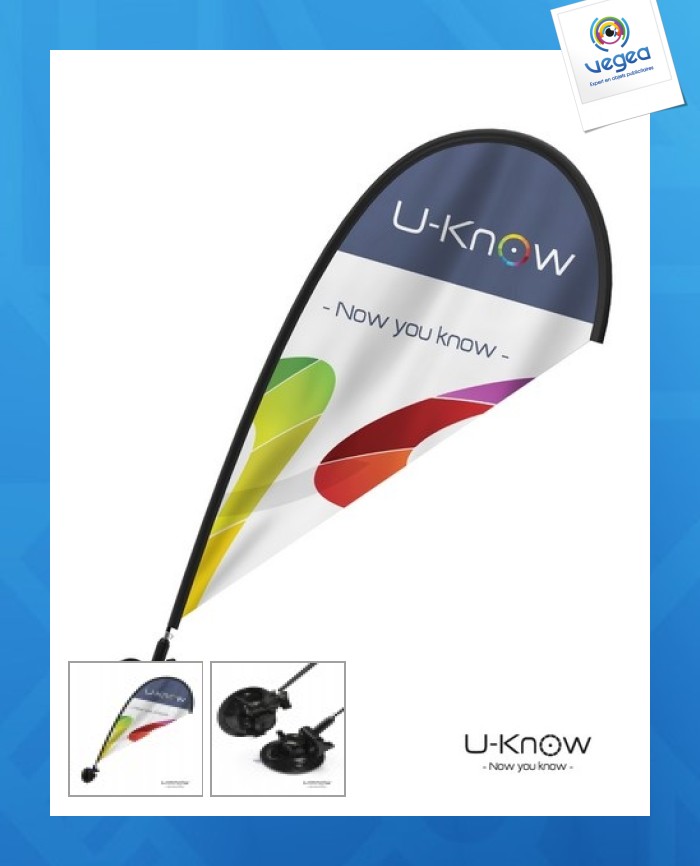 Mini flag with suction cup