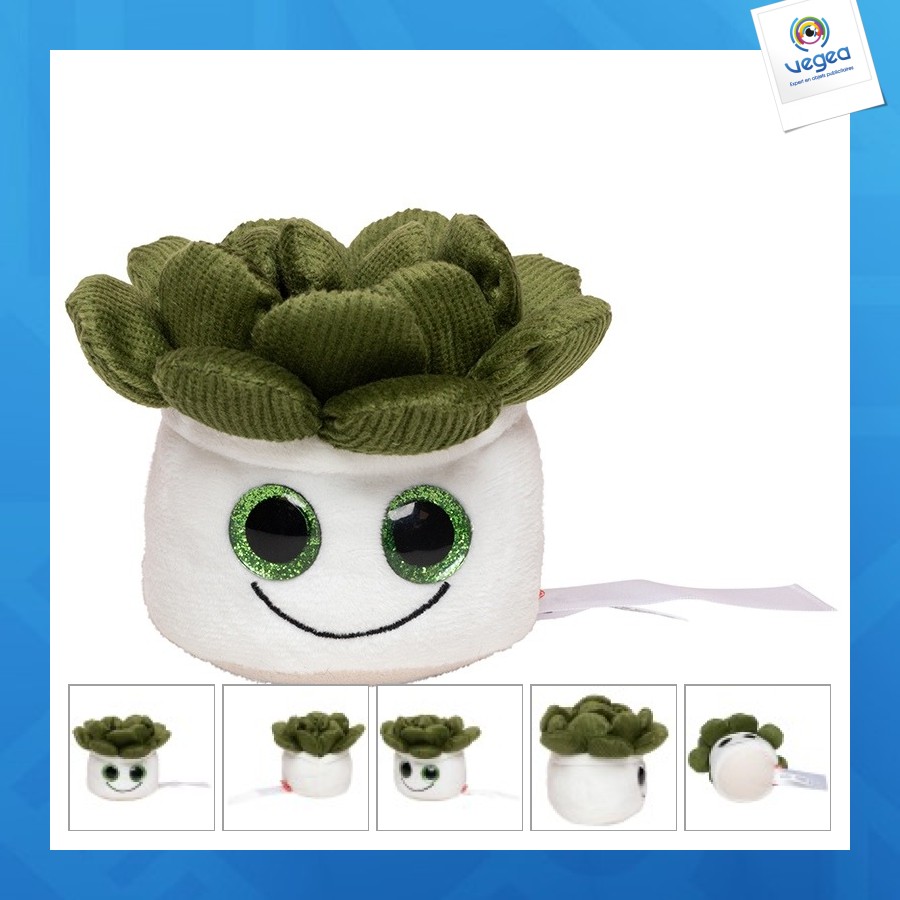 Peluche succulent
