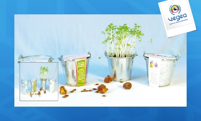 Planting kit zinc pot 6cm