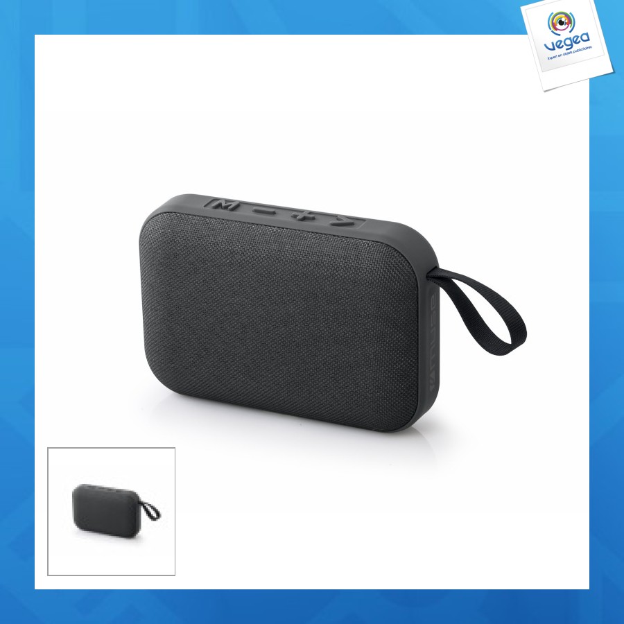 Portable bluetooth speakers