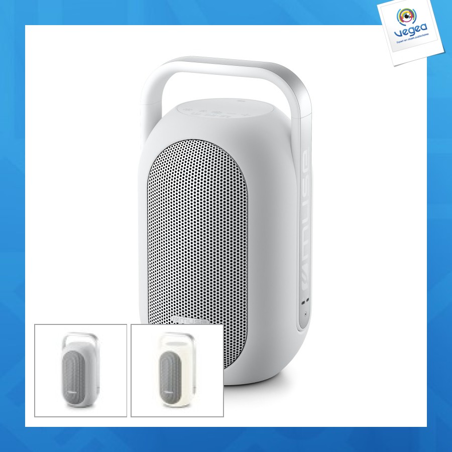 Portable bluetooth speakers