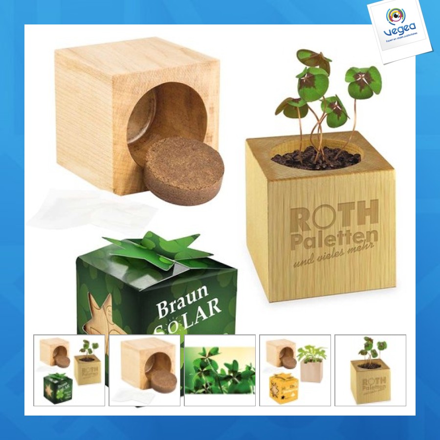 Pot cube bois mini avec bulbes de trèfle à 4 feuilles e en boite star-box - sans gravure laser