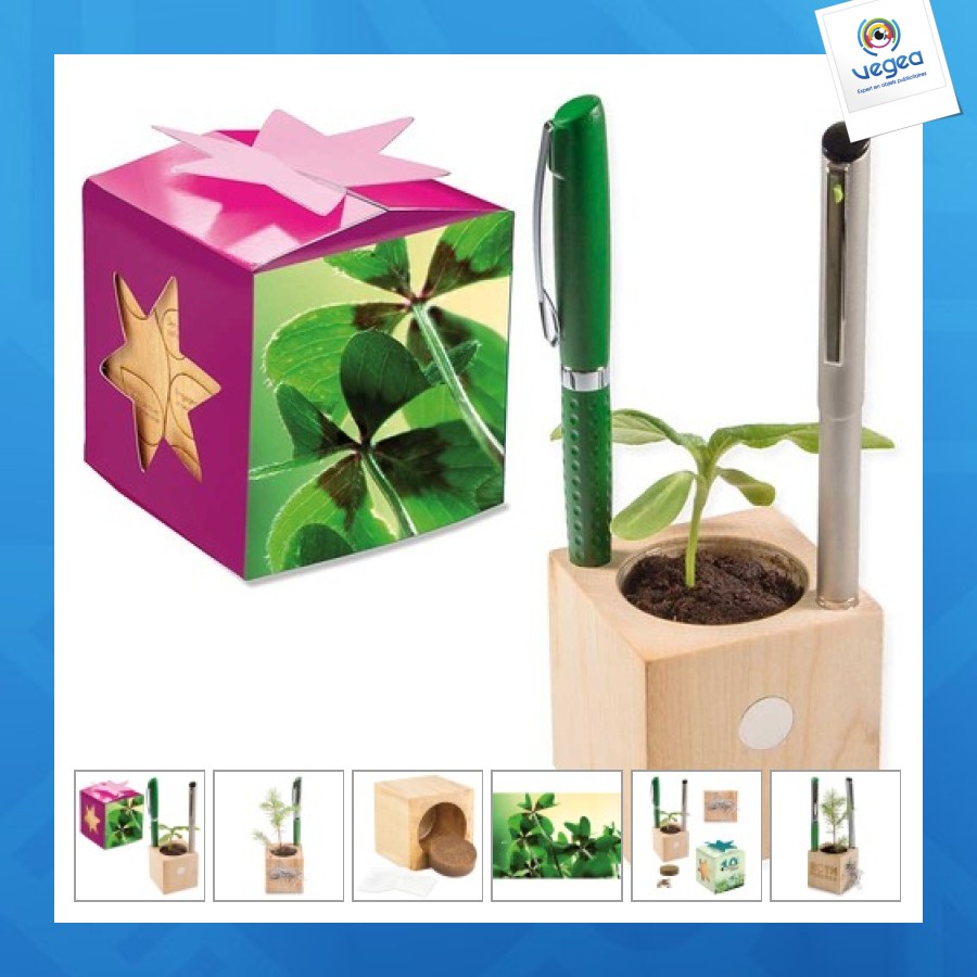 Pot cube boisde bureau en boite star-box - bulbes de trèfle à 4 feuilles 