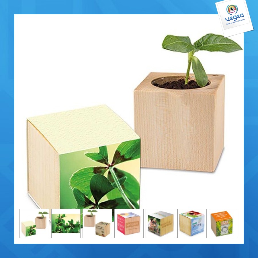 Pot cube - bulbes de trèfle à 4 feuilles 