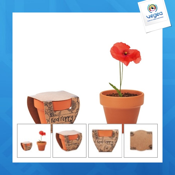 Red poppy - poppy seed pot