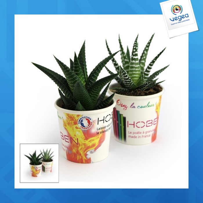 Small cardboard pot for eco-friendly plants