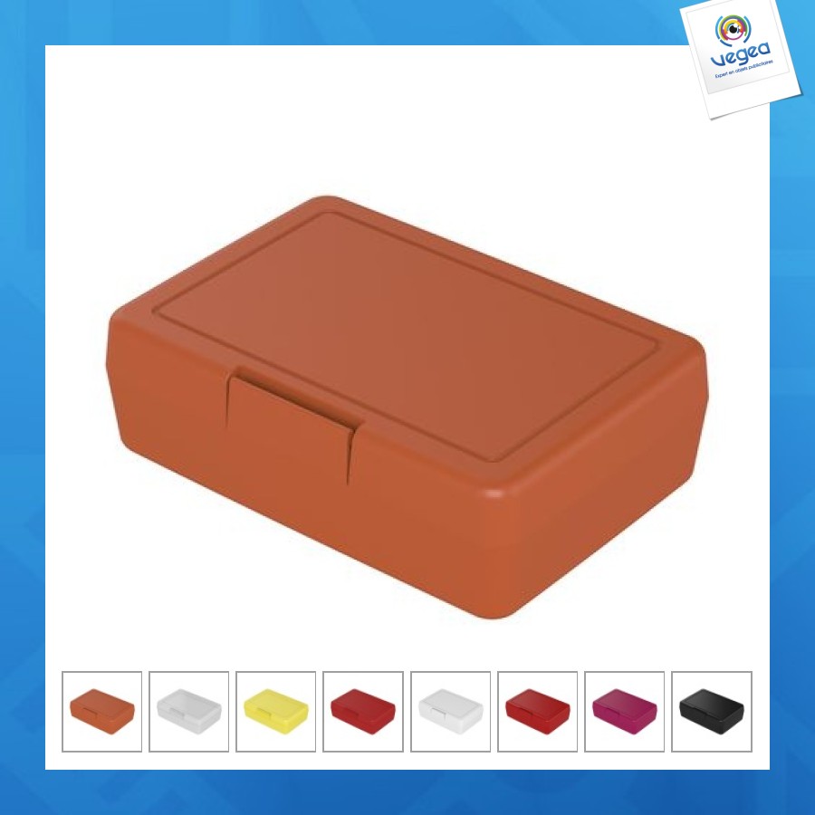 Small conservation box 16x11x5cm