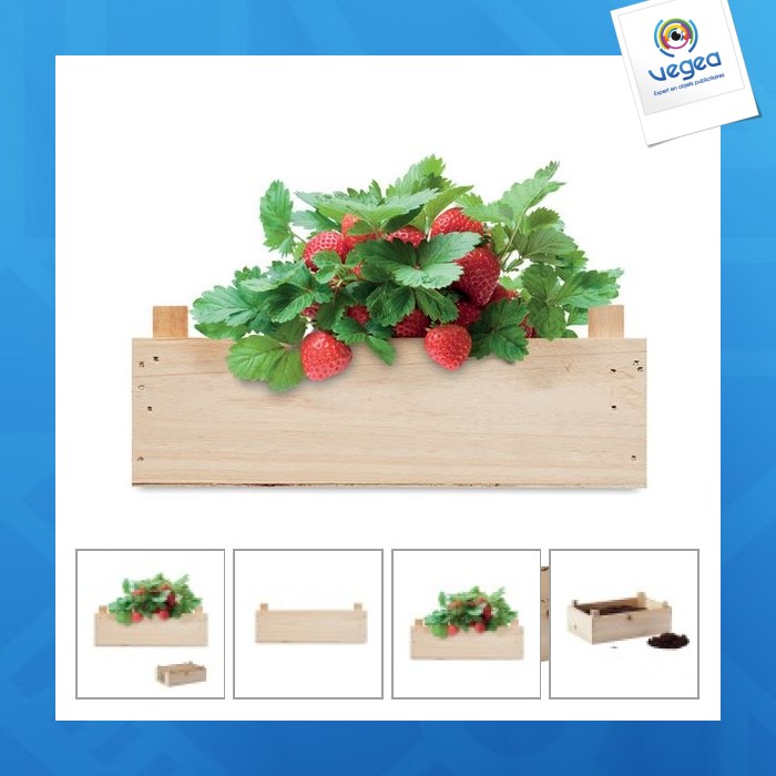 Strawberry seeds in a wooden box