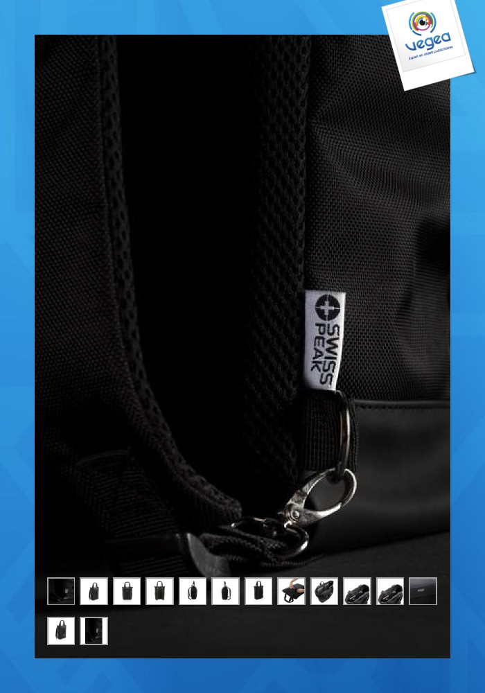 Swiss peak 2 in 1 computer backpack 