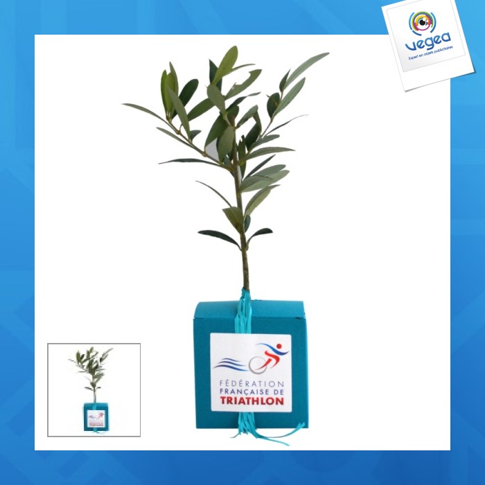 The tree cube - prestige