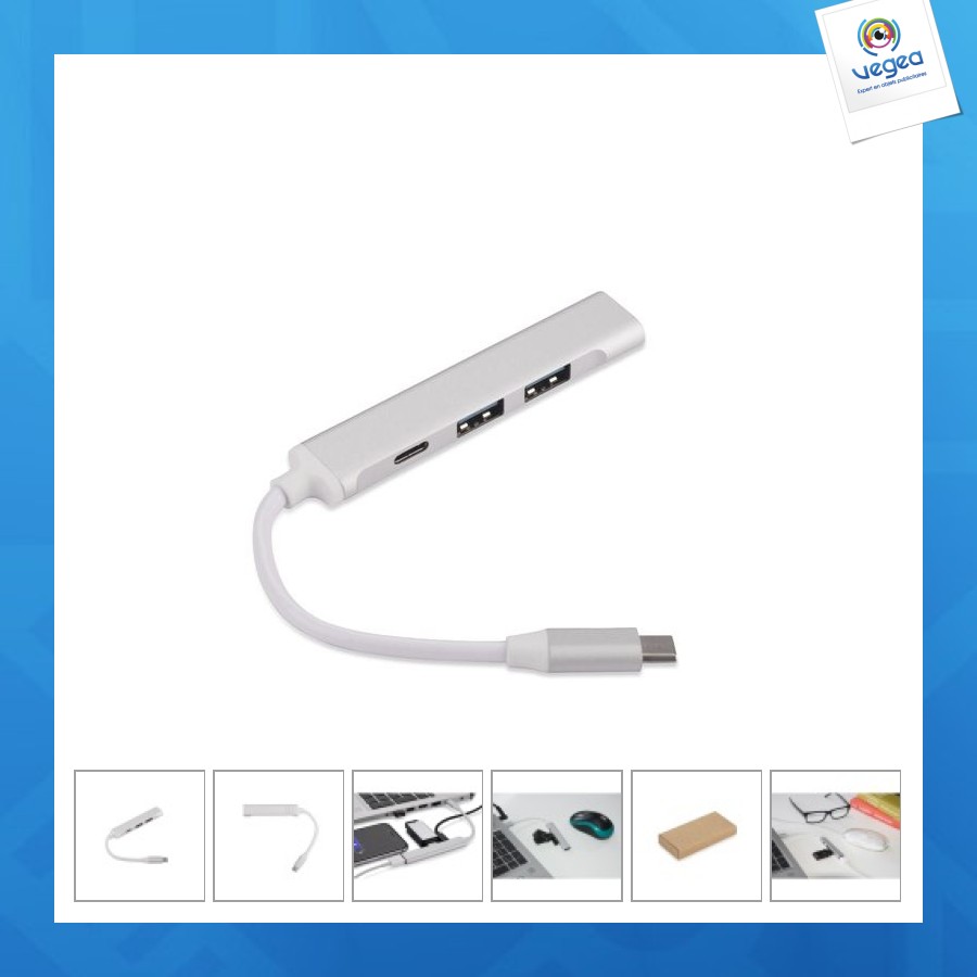 Usb hub with c-type cable - rosko