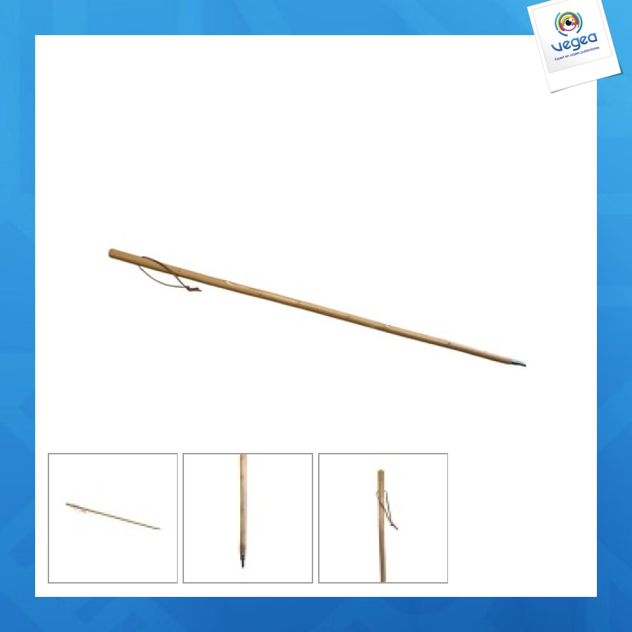 Walking stick 