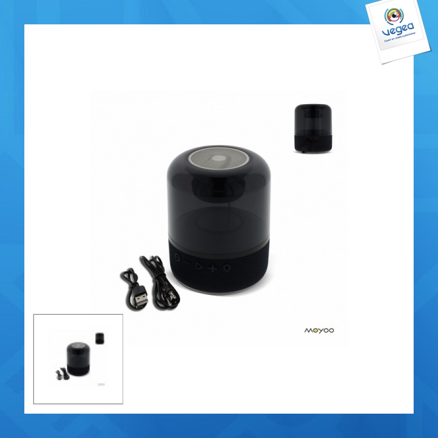 Wireless speaker