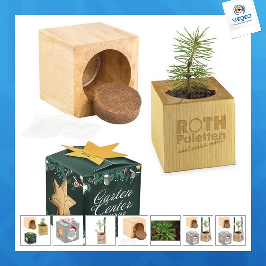 Wooden cube desk pot in star-box - spruce