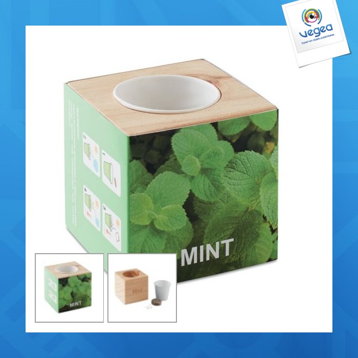 Wooden pot with seed.